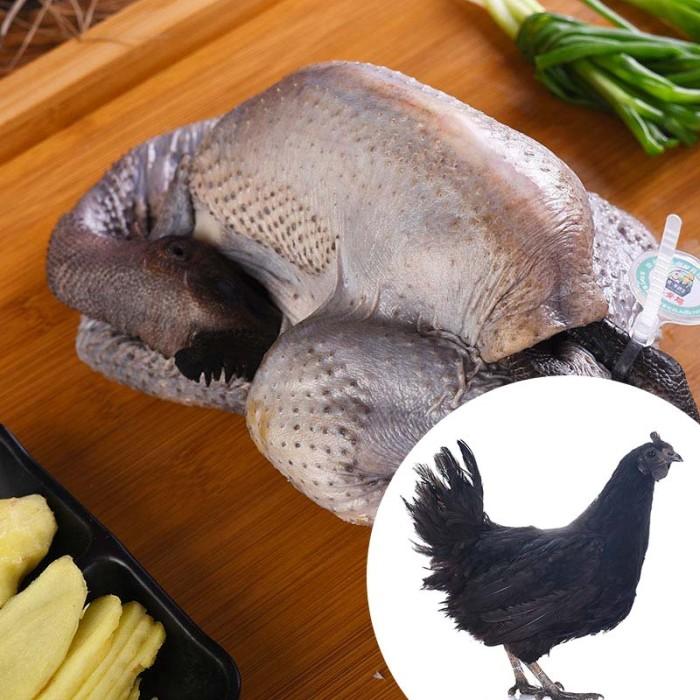 乌鸡